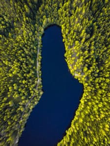 Peyronie's disease, curved penis, sexual problems, sexual dysfunctions, sex therapy